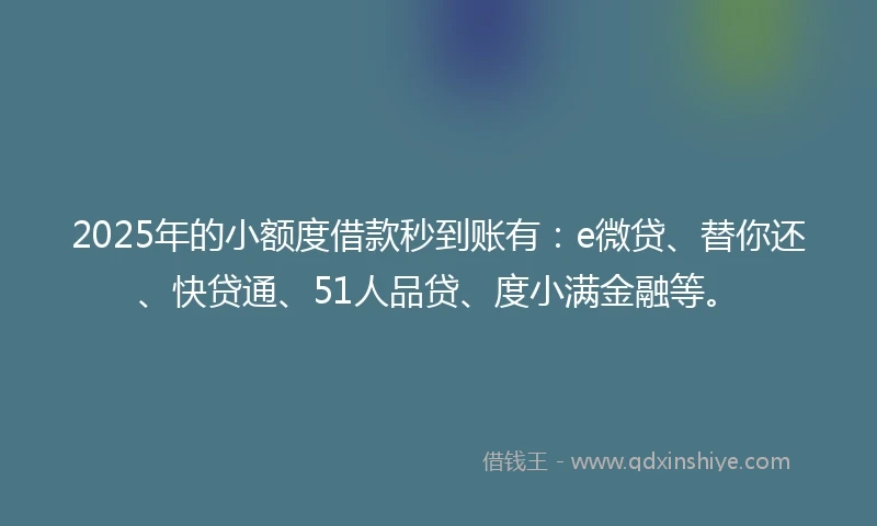 2025年的小额度借款秒到账有：e微贷、替你还、快贷通、51人品贷、度小满金融等。