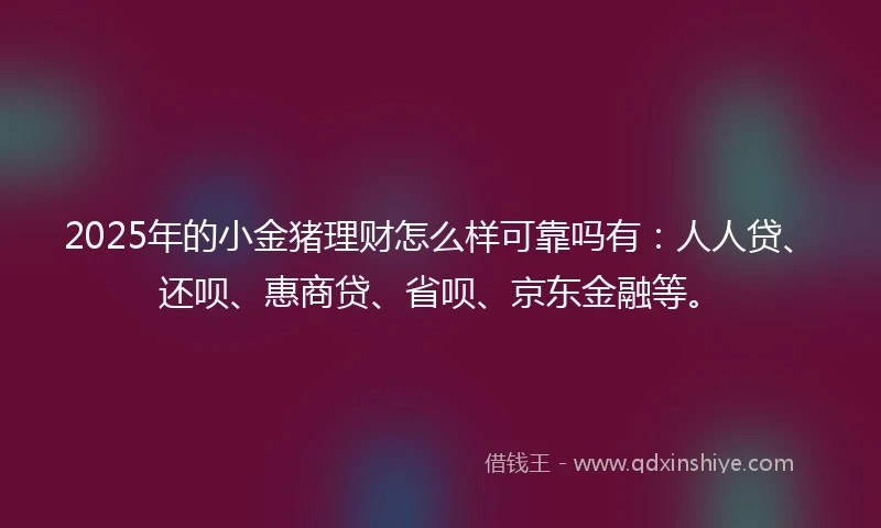 2025年的小金猪理财怎么样可靠吗有：人人贷、还呗、惠商贷、省呗、京东金融等。