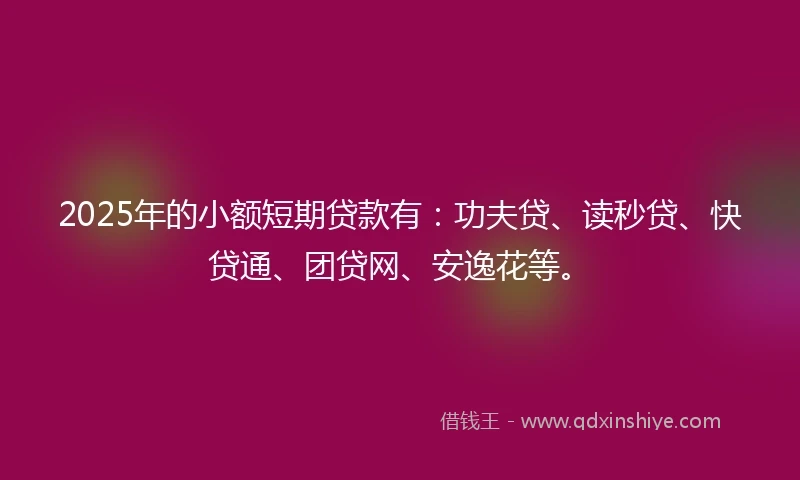 2025年的小额短期贷款有：功夫贷、读秒贷、快贷通、团贷网、安逸花等。