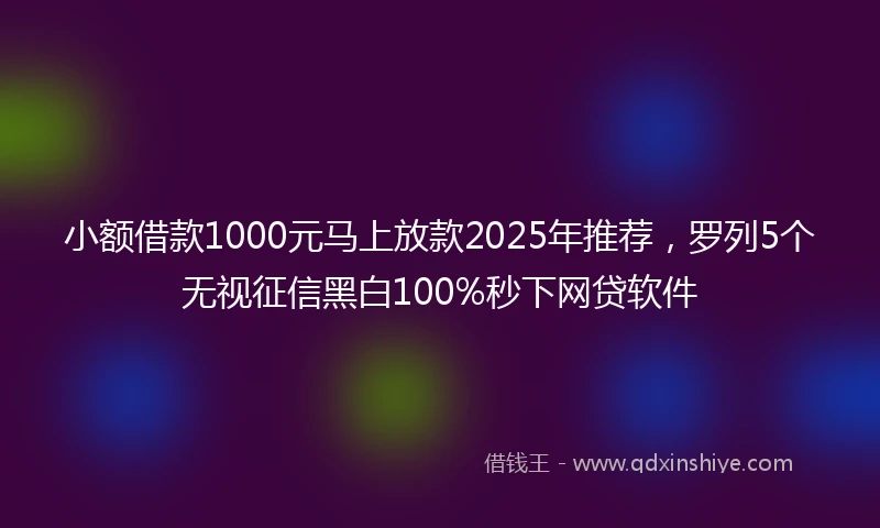 小额借款1000元马上放款2025年推荐，罗列5个无视征信黑白100%秒下网贷软件
