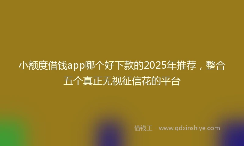 小额度借钱app哪个好下款的2025年推荐，整合五个真正无视征信花的平台