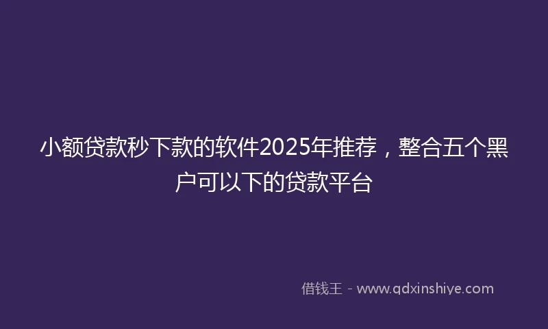 小额贷款秒下款的软件2025年推荐，整合五个黑户可以下的贷款平台