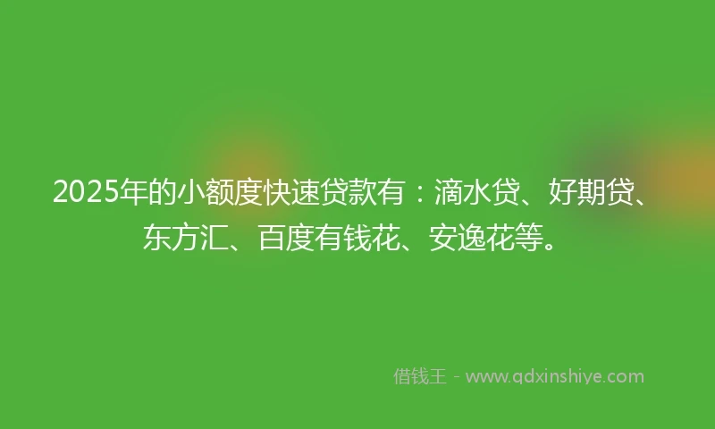 2025年的小额度快速贷款有：滴水贷、好期贷、东方汇、百度有钱花、安逸花等。