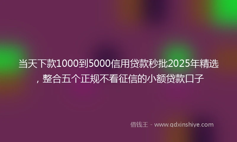 当天下款1000到5000信用贷款秒批2025年精选，整合五个正规不看征信的小额贷款口子