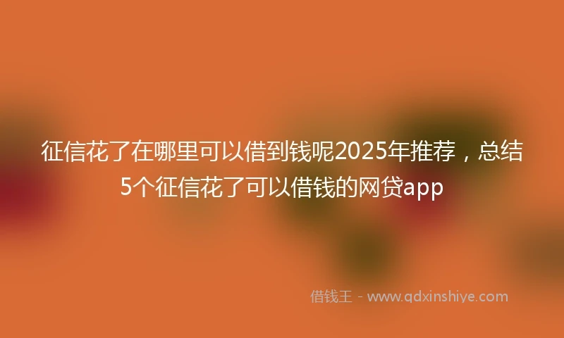 征信花了在哪里可以借到钱呢2025年推荐，总结5个征信花了可以借钱的网贷app