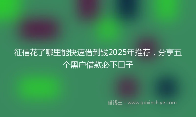 征信花了哪里能快速借到钱2025年推荐，分享五个黑户借款必下口子