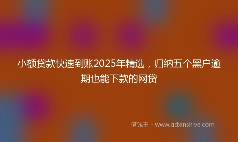 小额贷款快速到账2025年精选，归纳五个黑户逾期也能下款的网贷