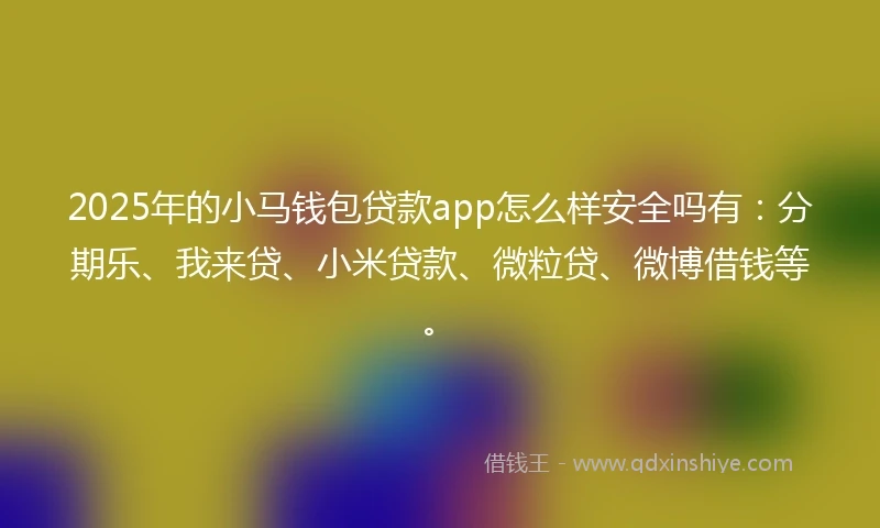 2025年的小马钱包贷款app怎么样安全吗有：分期乐、我来贷、小米贷款、微粒贷、微博借钱等。
