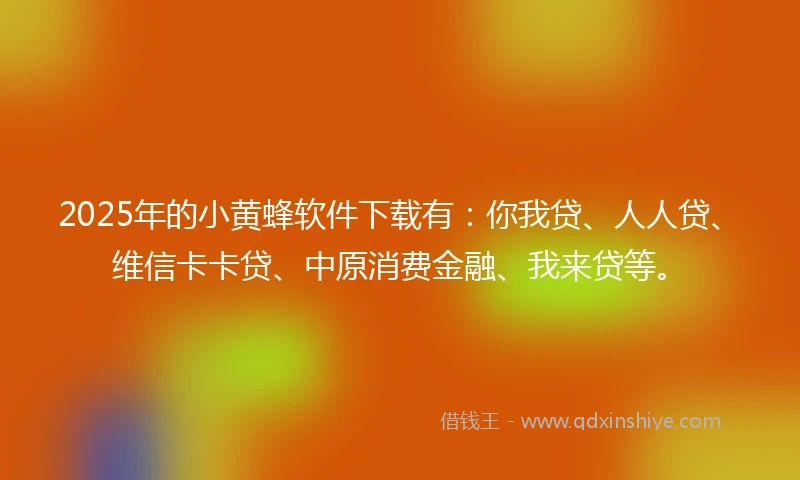 2025年的小黄蜂软件下载有：你我贷、人人贷、维信卡卡贷、中原消费金融、我来贷等。