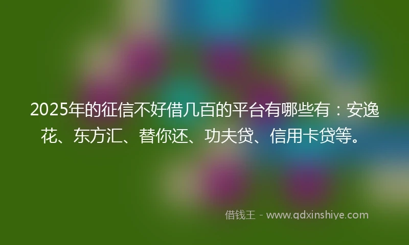 2025年的征信不好借几百的平台有哪些有：安逸花、东方汇、替你还、功夫贷、信用卡贷等。