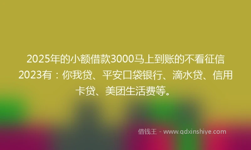 2025年的小额借款3000马上到账的不看征信2023有：你我贷、平安口袋银行、滴水贷、信用卡贷、美团生活费等。