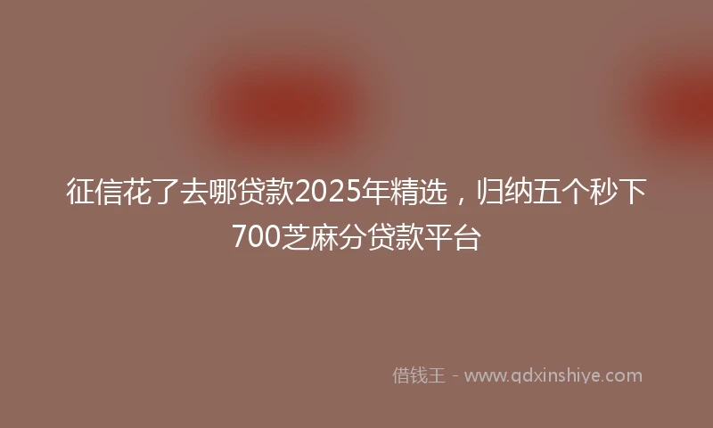 征信花了去哪贷款2025年精选，归纳五个秒下700芝麻分贷款平台