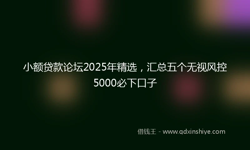 小额贷款论坛2025年精选，汇总五个无视风控5000必下口子