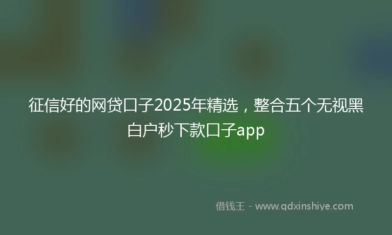 征信好的网贷口子2025年精选，整合五个无视黑白户秒下款口子app
