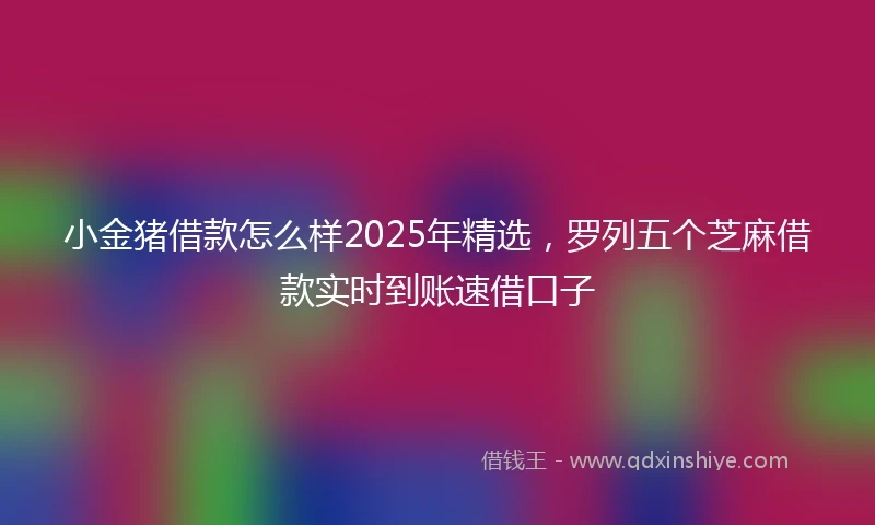 小金猪借款怎么样2025年精选，罗列五个芝麻借款实时到账速借口子