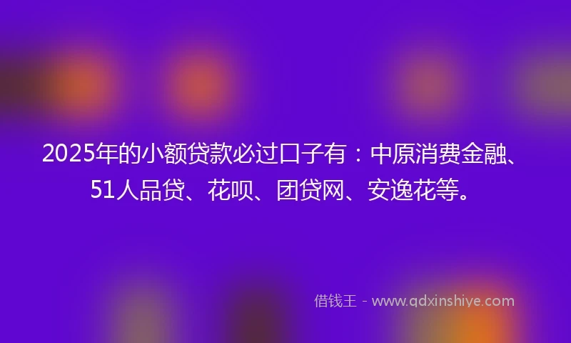 2025年的小额贷款必过口子有：中原消费金融、51人品贷、花呗、团贷网、安逸花等。