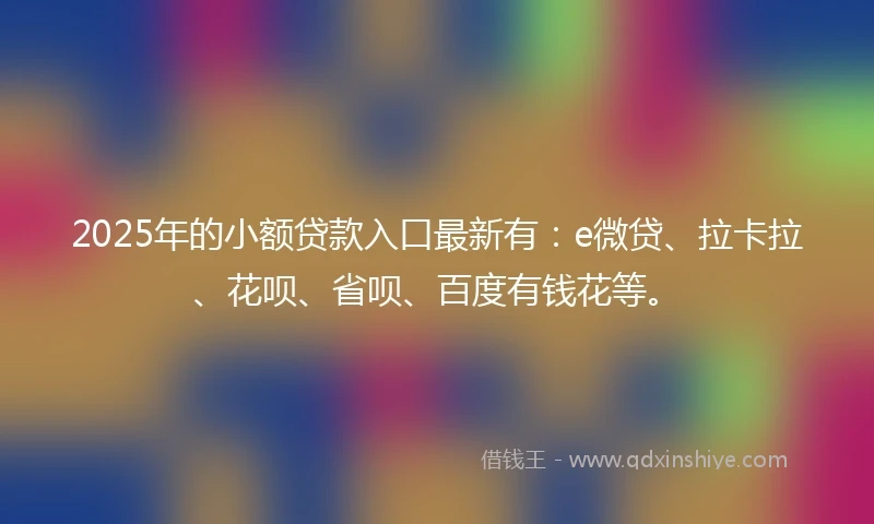 2025年的小额贷款入口最新有：e微贷、拉卡拉、花呗、省呗、百度有钱花等。