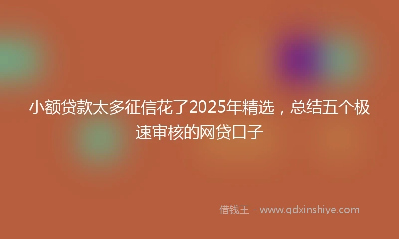 小额贷款太多征信花了2025年精选，总结五个极速审核的网贷口子