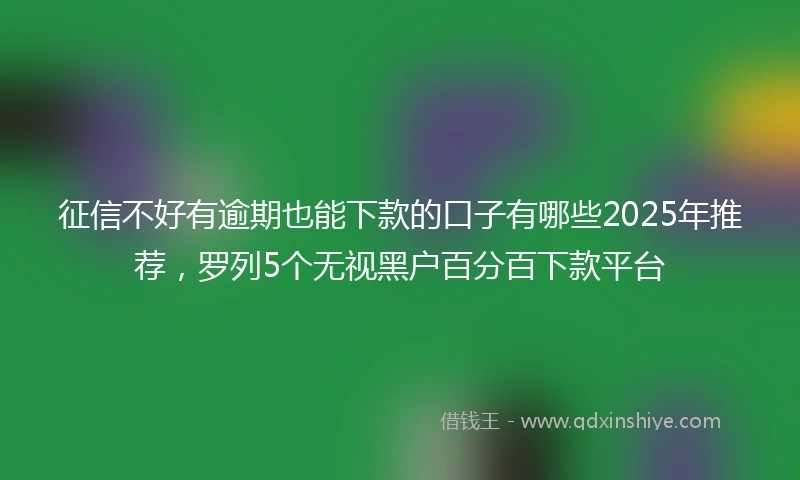 征信不好有逾期也能下款的口子有哪些2025年推荐,罗列5个无视黑户百分百下款平台