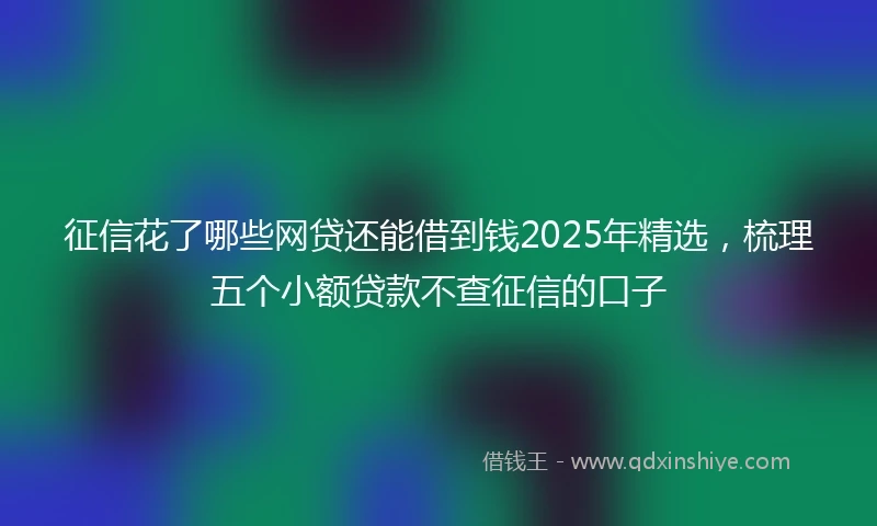 征信花了哪些网贷还能借到钱2025年精选,梳理五个小额贷款不查征信的口子