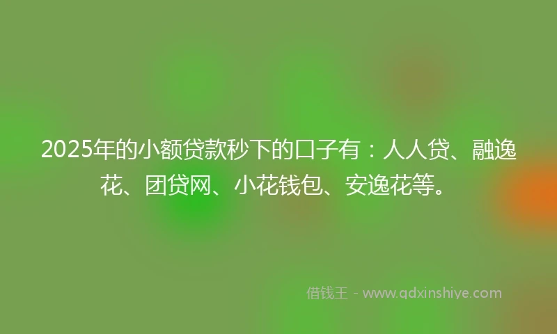 2025年的小额贷款秒下的口子有:人人贷、融逸花、团贷网、小花钱包、安逸花等。