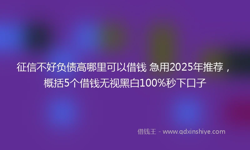 征信不好负债高哪里可以借钱 急用2025年推荐，概括5个借钱无视黑白100%秒下口子