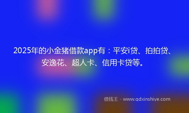 2025年的小金猪借款app有：平安i贷、拍拍贷、安逸花、超人卡、信用卡贷等。