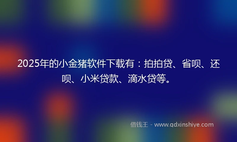 2025年的小金猪软件下载有：拍拍贷、省呗、还呗、小米贷款、滴水贷等。