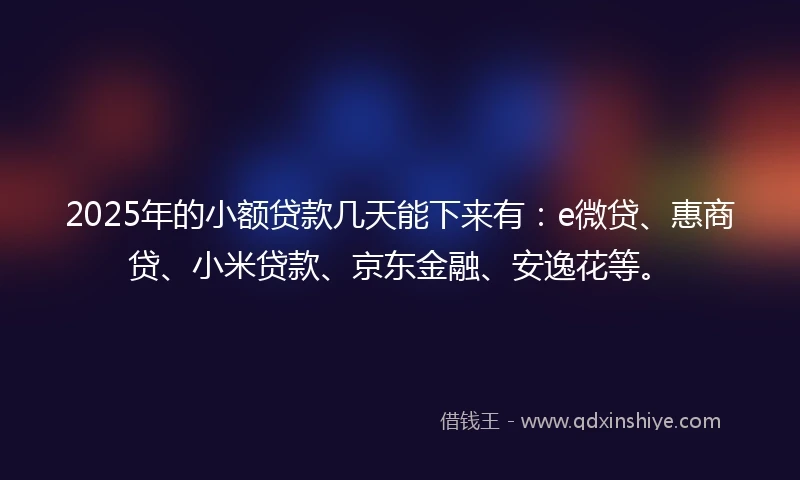 2025年的小额贷款几天能下来有：e微贷、惠商贷、小米贷款、京东金融、安逸花等。