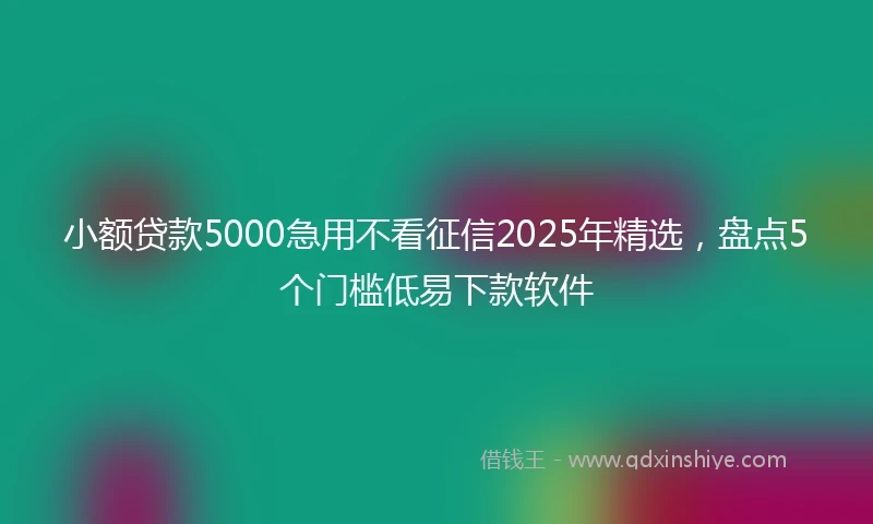 小额贷款5000急用不看征信2025年精选，盘点5个门槛低易下款软件