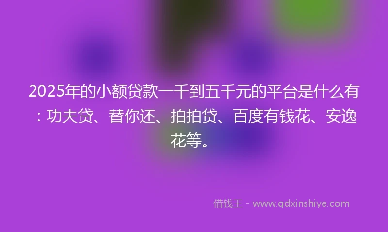 2025年的小额贷款一千到五千元的平台是什么有：功夫贷、替你还、拍拍贷、百度有钱花、安逸花等。