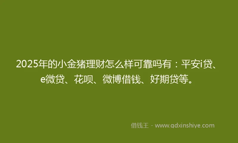 2025年的小金猪理财怎么样可靠吗有：平安i贷、e微贷、花呗、微博借钱、好期贷等。