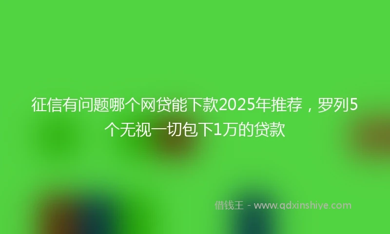 征信有问题哪个网贷能下款2025年推荐，罗列5个无视一切包下1万的贷款