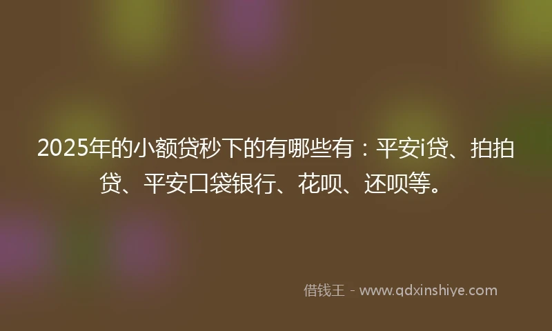 2025年的小额贷秒下的有哪些有：平安i贷、拍拍贷、平安口袋银行、花呗、还呗等。