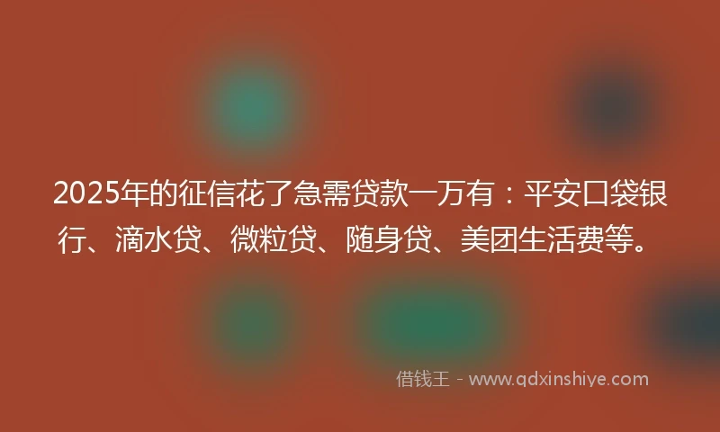 2025年的征信花了急需贷款一万有:平安口袋银行、滴水贷、微粒贷、随身贷、美团生活费等。