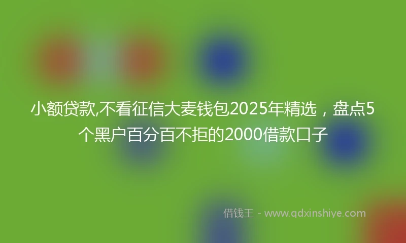 小额贷款,不看征信大麦钱包2025年精选，盘点5个黑户百分百不拒的2000借款口子