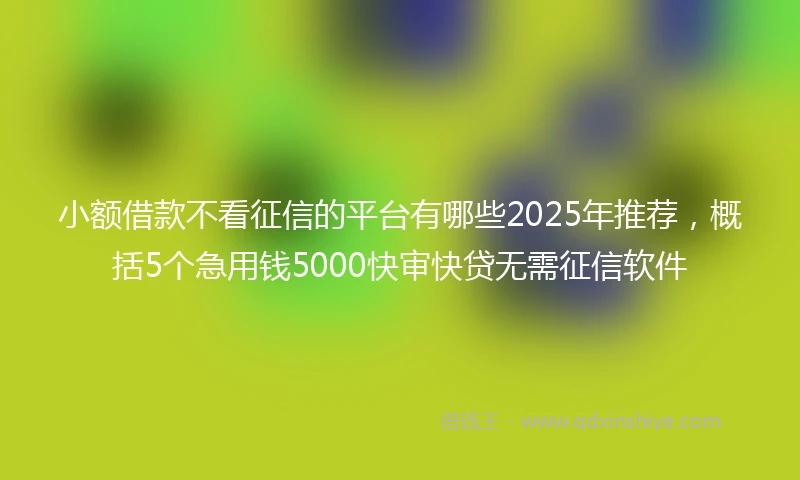小额借款不看征信的平台有哪些2025年推荐，概括5个急用钱5000快审快贷无需征信软件