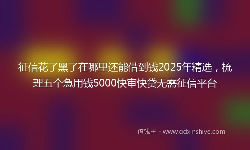 征信花了黑了在哪里还能借到钱2025年精选,梳理五个急用钱5000快审快贷无需征信平台