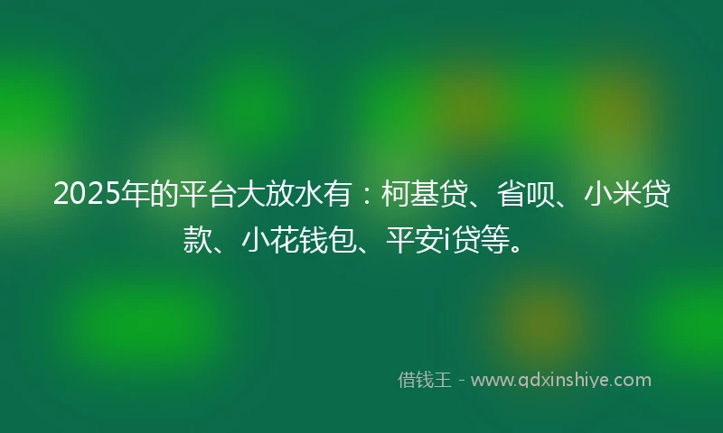 2025年的平台大放水有：柯基贷、省呗、小米贷款、小花钱包、平安i贷等。