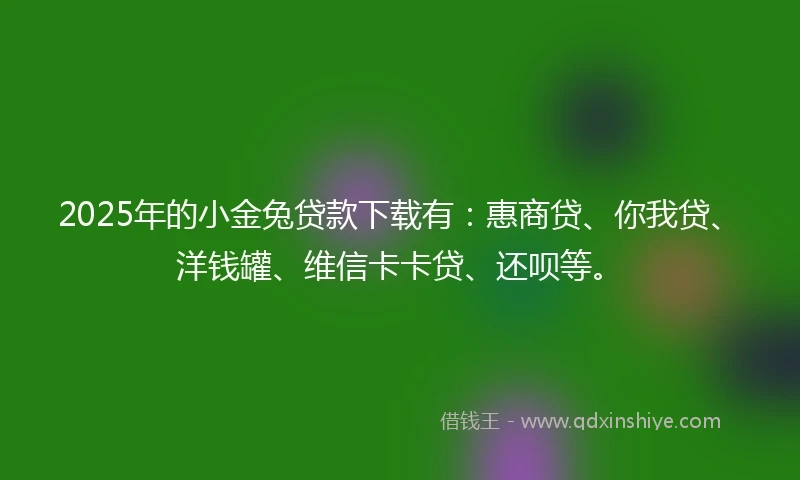 2025年的小金兔贷款下载有：惠商贷、你我贷、洋钱罐、维信卡卡贷、还呗等。