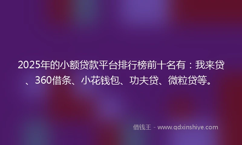 2025年的小额贷款平台排行榜前十名有：我来贷、360借条、小花钱包、功夫贷、微粒贷等。