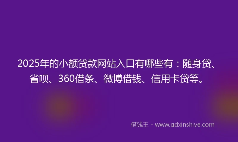 2025年的小额贷款网站入口有哪些有：随身贷、省呗、360借条、微博借钱、信用卡贷等。