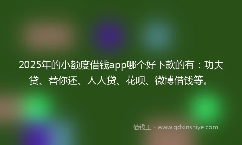 2025年的小额度借钱app哪个好下款的有：功夫贷、替你还、人人贷、花呗、微博借钱等。