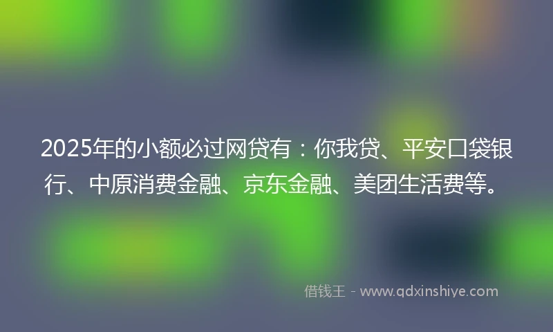 2025年的小额必过网贷有：你我贷、平安口袋银行、中原消费金融、京东金融、美团生活费等。