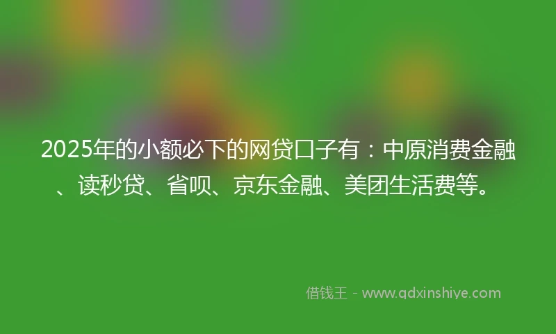 2025年的小额必下的网贷口子有：中原消费金融、读秒贷、省呗、京东金融、美团生活费等。