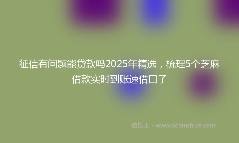 征信有问题能贷款吗2025年精选，梳理5个芝麻借款实时到账速借口子