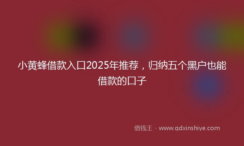 小黄蜂借款入口2025年推荐，归纳五个黑户也能借款的口子