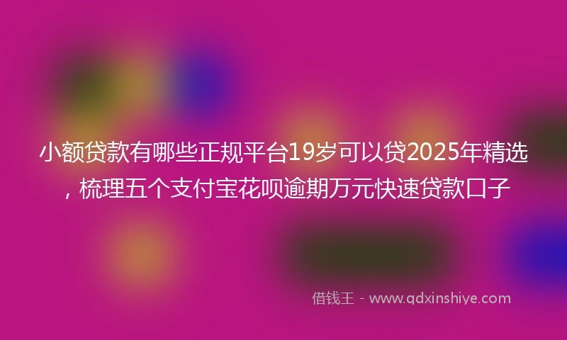 小额贷款有哪些正规平台19岁可以贷2025年精选，梳理五个支付宝花呗逾期万元快速贷款口子
