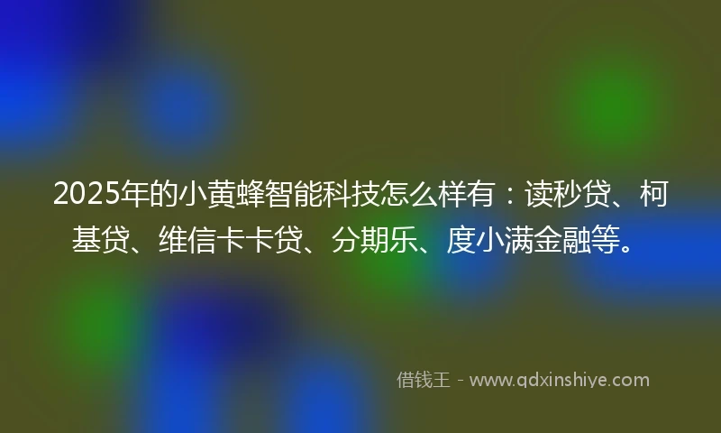 2025年的小黄蜂智能科技怎么样有：读秒贷、柯基贷、维信卡卡贷、分期乐、度小满金融等。