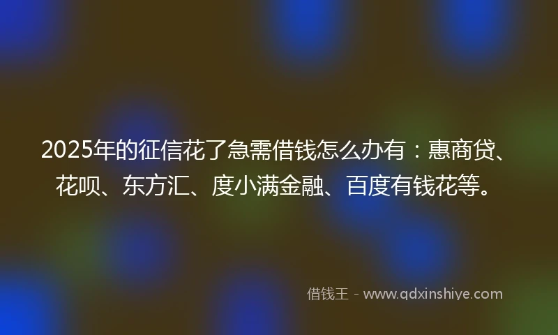 2025年的征信花了急需借钱怎么办有：惠商贷、花呗、东方汇、度小满金融、百度有钱花等。